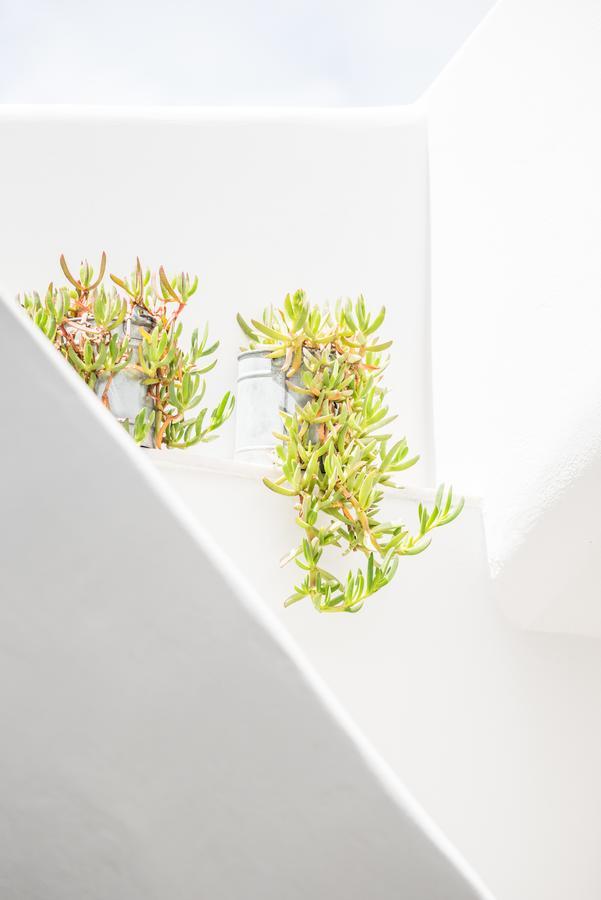Agave Santorini Design Boutique Imerovigli